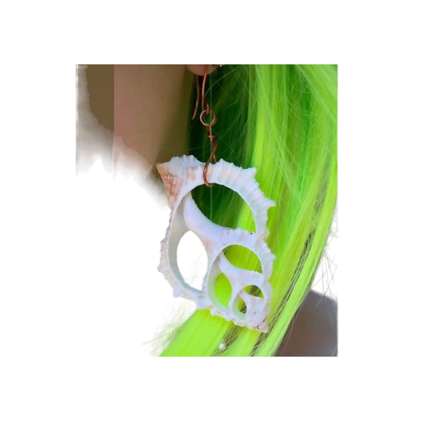 White Shell Earrings