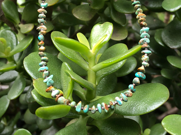 Natural Beauty Turquoise Necklace