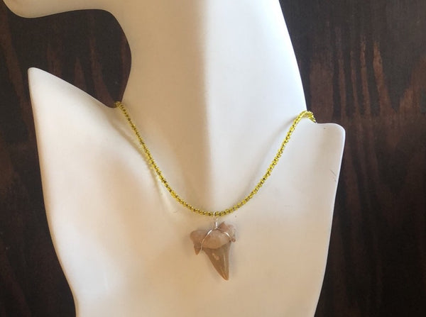 Shark Tooth Necklace