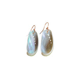 Abalone Shell Earrings