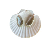 Abalone Shell Earrings