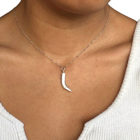 Horn Necklace