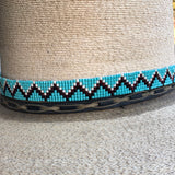 Snake in Water Hatband